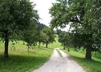 Rundwanderweg